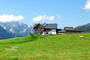 形容東南亞風(fēng)景的句子